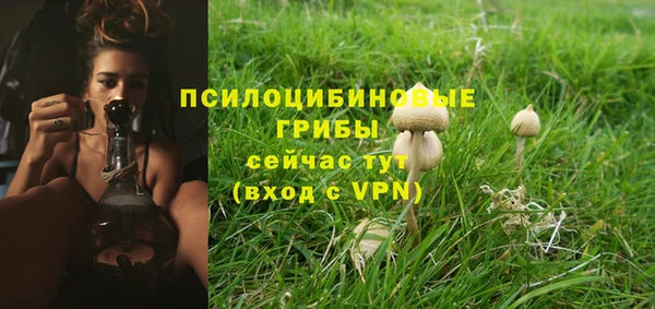 ALPHA-PVP Медвежьегорск