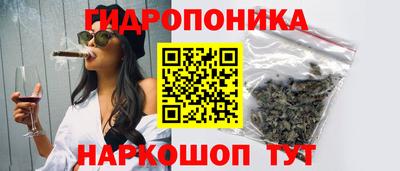 скорость Будённовск