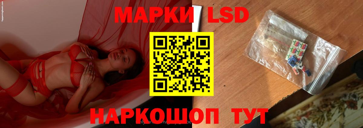 Псилоцибиновые грибы Салават