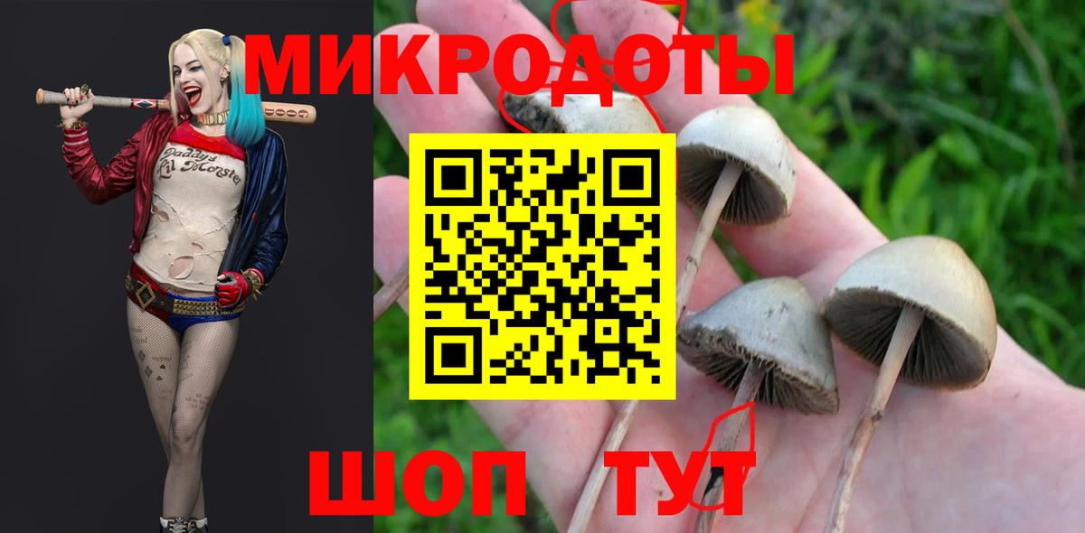 Псилоцибиновые грибы Cubensis Салават